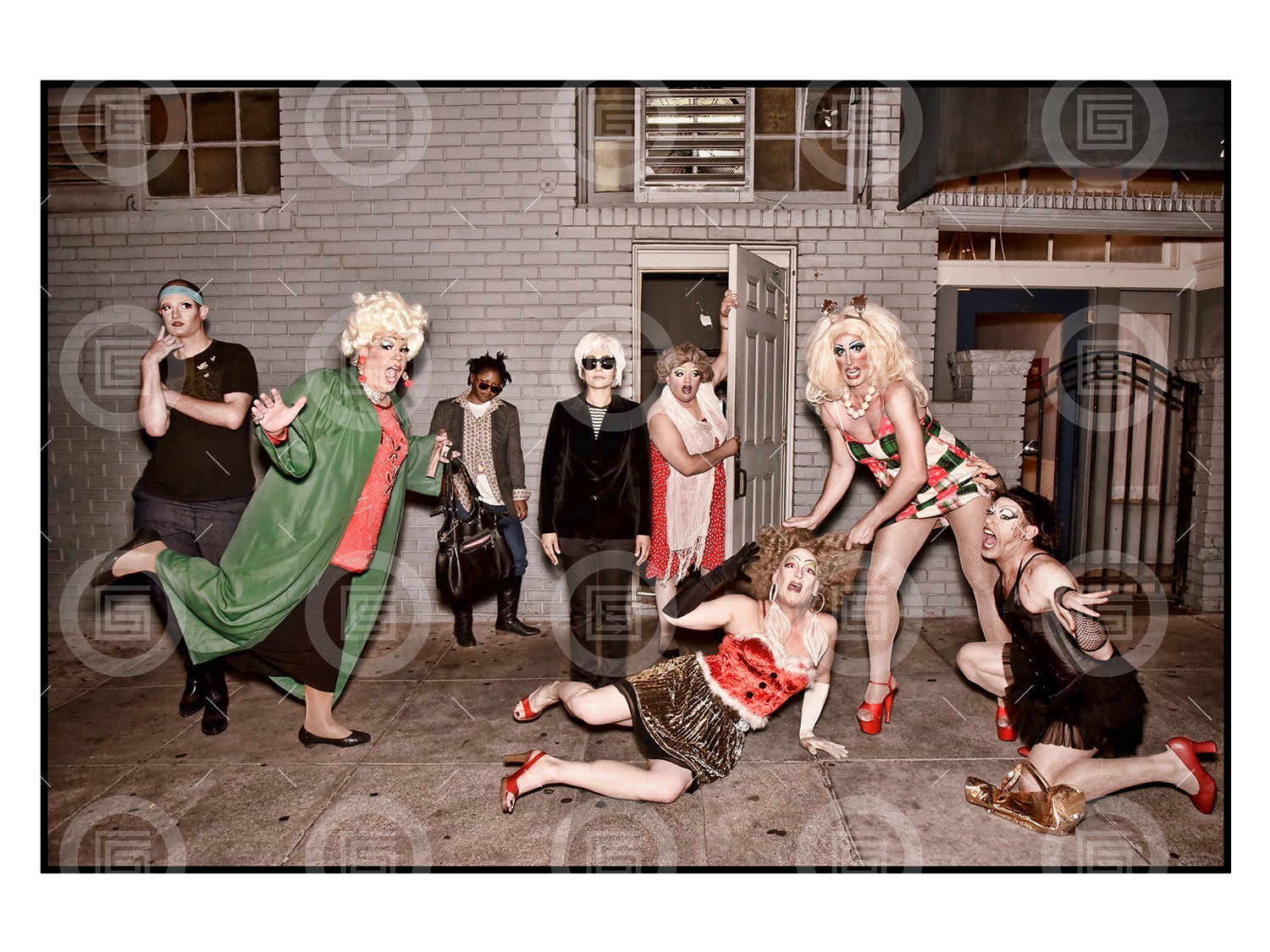 L-R: Redwood, Cruzin d'Loo, Unknown, Unknown, Bearonce Growles, Pristine Condition, Sue Casa, Terri Twaught Waffle